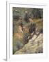 Hunting Scene-null-Framed Giclee Print