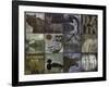 Hunting Season V-null-Framed Giclee Print