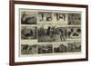 Hunting Sketches in Northern Wyoming-null-Framed Giclee Print