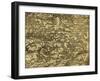 Hunting Snakes in Northern Bosnia, Engraving from Universal Cosmology-Andre Thevet-Framed Giclee Print