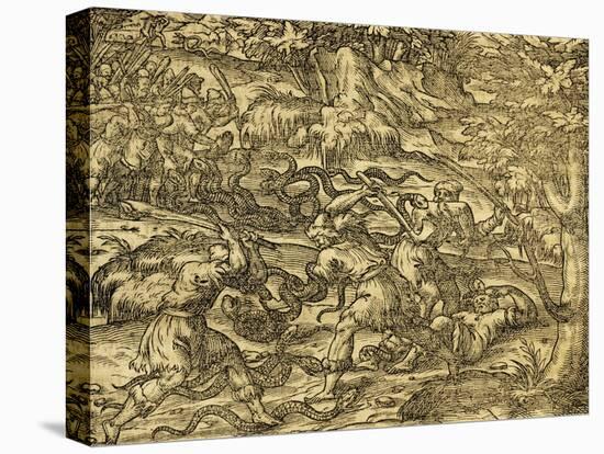 Hunting Snakes in Northern Bosnia, Engraving from Universal Cosmology-Andre Thevet-Stretched Canvas