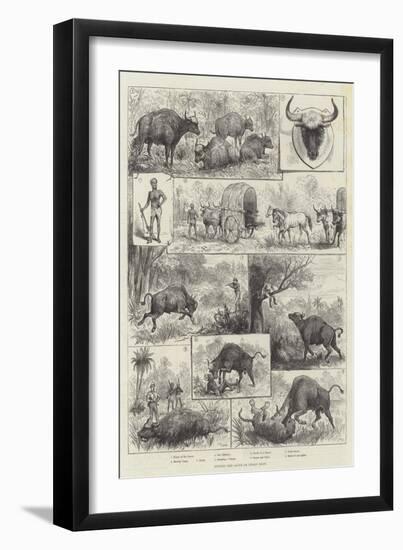 Hunting the Gaour or Indian Bison-null-Framed Giclee Print