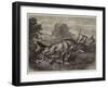 Hunting the Gemsbok in South Africa-null-Framed Giclee Print