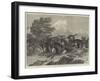 Hunting the Sable Antelope in South Africa-Samuel John Carter-Framed Giclee Print