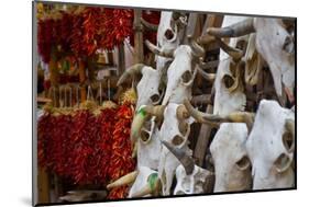 Hunting trophies and chili peppers on market stall, Santa Fe, New Mexico, USA-null-Mounted Photographic Print