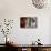 Hunting trophies and chili peppers on market stall, Santa Fe, New Mexico, USA-null-Photographic Print displayed on a wall