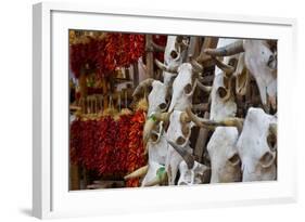 Hunting trophies and chili peppers on market stall, Santa Fe, New Mexico, USA-null-Framed Photographic Print