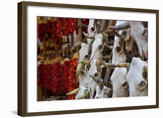 Hunting trophies and chili peppers on market stall, Santa Fe, New Mexico, USA-null-Framed Photographic Print