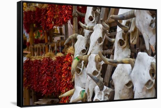 Hunting trophies and chili peppers on market stall, Santa Fe, New Mexico, USA-null-Framed Stretched Canvas
