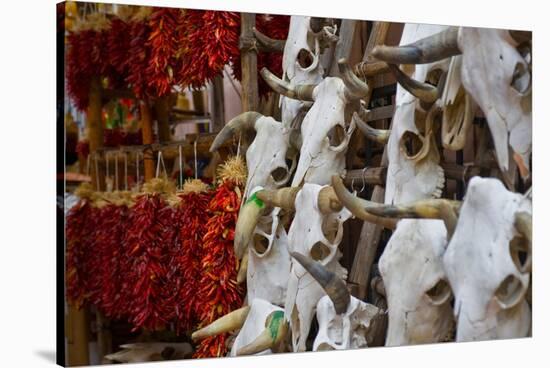 Hunting trophies and chili peppers on market stall, Santa Fe, New Mexico, USA-null-Stretched Canvas