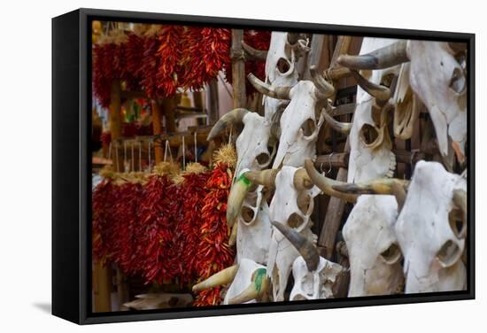Hunting trophies and chili peppers on market stall, Santa Fe, New Mexico, USA-null-Framed Stretched Canvas