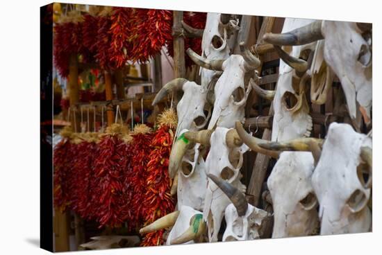 Hunting trophies and chili peppers on market stall, Santa Fe, New Mexico, USA-null-Stretched Canvas