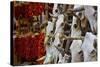 Hunting trophies and chili peppers on market stall, Santa Fe, New Mexico, USA-null-Stretched Canvas