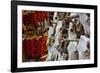 Hunting trophies and chili peppers on market stall, Santa Fe, New Mexico, USA-null-Framed Photographic Print