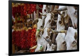 Hunting trophies and chili peppers on market stall, Santa Fe, New Mexico, USA-null-Framed Photographic Print