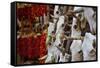 Hunting trophies and chili peppers on market stall, Santa Fe, New Mexico, USA-null-Framed Stretched Canvas