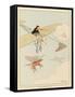 Hunting was Never Like This-Joaquin Xaudaro-Framed Stretched Canvas