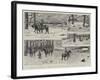 Hunting White-Tail Deer in the Kootenay Valley, British Columbia-null-Framed Giclee Print