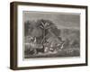 Hunting Wild Horses in South America-null-Framed Giclee Print