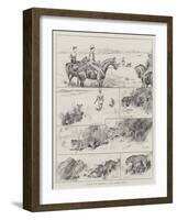 Hunting with Cheetahs at Dhar, Central India-null-Framed Giclee Print