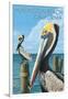 Huntington Beach, California - Brown Pelican-Lantern Press-Framed Art Print