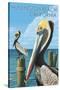 Huntington Beach, California - Brown Pelican-Lantern Press-Stretched Canvas