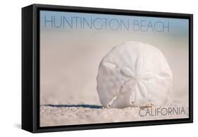 Huntington Beach, California - Sand Dollar and Beach-Lantern Press-Framed Stretched Canvas