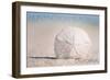 Huntington Beach, California - Sand Dollar and Beach-Lantern Press-Framed Art Print