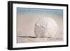 Huntington Beach, California - Sand Dollar and Beach-Lantern Press-Framed Art Print