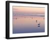 Huntington Beach, California, United States of America, North America-Sergio Pitamitz-Framed Photographic Print