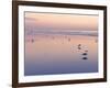 Huntington Beach, California, United States of America, North America-Sergio Pitamitz-Framed Photographic Print