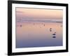 Huntington Beach, California, United States of America, North America-Sergio Pitamitz-Framed Photographic Print