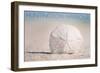 Huntington Harbour, California - Sand Dollar and Beach-Lantern Press-Framed Art Print