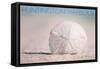 Huntington Harbour, California - Sand Dollar and Beach-Lantern Press-Framed Stretched Canvas