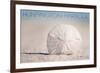 Huntington Harbour, California - Sand Dollar and Beach-Lantern Press-Framed Premium Giclee Print