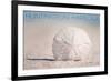 Huntington Harbour, California - Sand Dollar and Beach-Lantern Press-Framed Premium Giclee Print