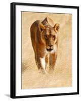 Huntress, Etosha, 2018-Eric Meyer-Framed Photographic Print