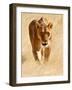 Huntress, Etosha, 2018-Eric Meyer-Framed Photographic Print