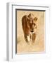 Huntress, Etosha, 2018-Eric Meyer-Framed Photographic Print