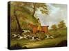 Huntsman and Hounds, 1809-John Nott Sartorius-Stretched Canvas