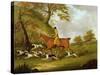 Huntsman and Hounds, 1809-John Nott Sartorius-Stretched Canvas