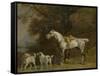 Huntsman with a Grey Hunter and Two Foxhounds: Details from the Goodwood 'Hunting' Picture-George Stubbs-Framed Stretched Canvas