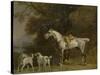 Huntsman with a Grey Hunter and Two Foxhounds: Details from the Goodwood 'Hunting' Picture-George Stubbs-Stretched Canvas