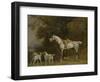 Huntsman with a Grey Hunter and Two Foxhounds: Details from the Goodwood 'Hunting' Picture-George Stubbs-Framed Premium Giclee Print