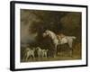 Huntsman with a Grey Hunter and Two Foxhounds: Details from the Goodwood 'Hunting' Picture-George Stubbs-Framed Giclee Print