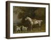 Huntsman with a Grey Hunter and Two Foxhounds: Details from the Goodwood 'Hunting' Picture-George Stubbs-Framed Giclee Print