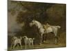 Huntsman with a Grey Hunter and Two Foxhounds: Details from the Goodwood 'Hunting' Picture-George Stubbs-Mounted Giclee Print