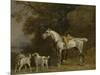 Huntsman with a Grey Hunter and Two Foxhounds: Details from the Goodwood 'Hunting' Picture-George Stubbs-Mounted Premium Giclee Print