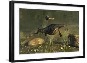 Hupehsuchus Marine Reptiles Swimming in Triassic Waters-Stocktrek Images-Framed Art Print