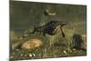 Hupehsuchus Marine Reptiles Swimming in Triassic Waters-Stocktrek Images-Mounted Art Print